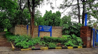 Ellis Robins School