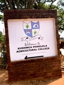 Kushinga phikelela agricultural college
