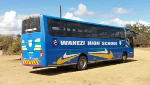 Wanezi High School