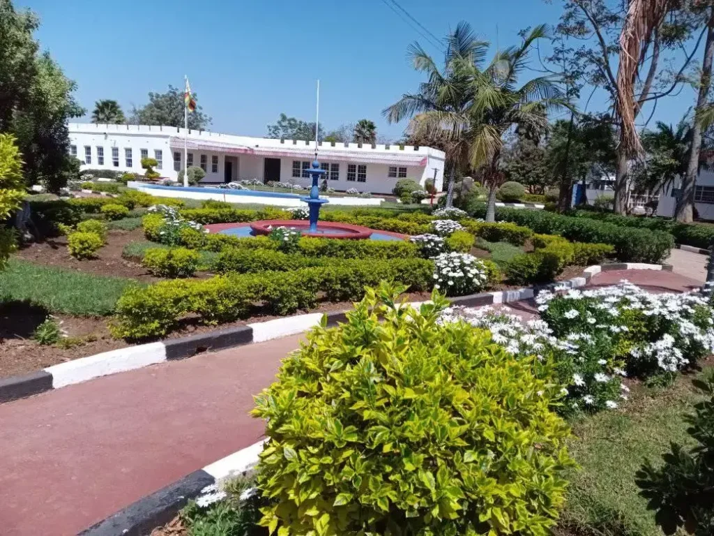 Lingfield Advent Primary School