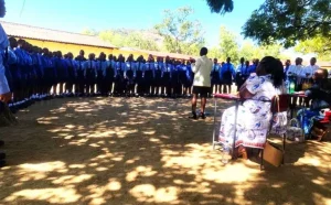 Berejena High School