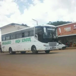 Nkululeko High School