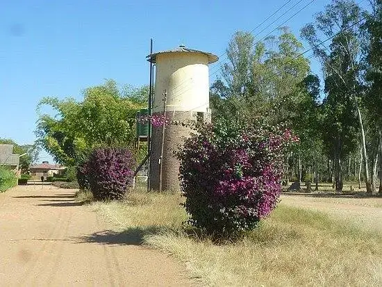Waddilove Primary School
