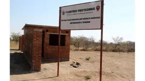 Plumtree Polytechnic