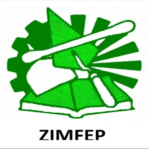 Mapfure Industrial Training College