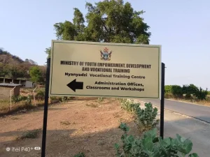 Nyanyadzi High School