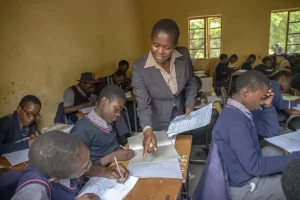 Zimbabwe has removed Mathematics as a compulsory entry requirement for some prospective teachers who want to specialise in indigenous minority languages